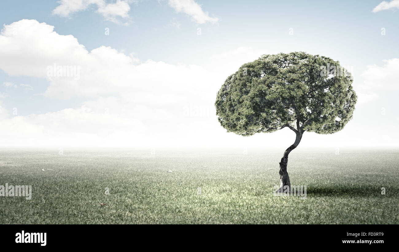 Image conceptuelle de l'arbre vert en forme de cerveau Banque D'Images