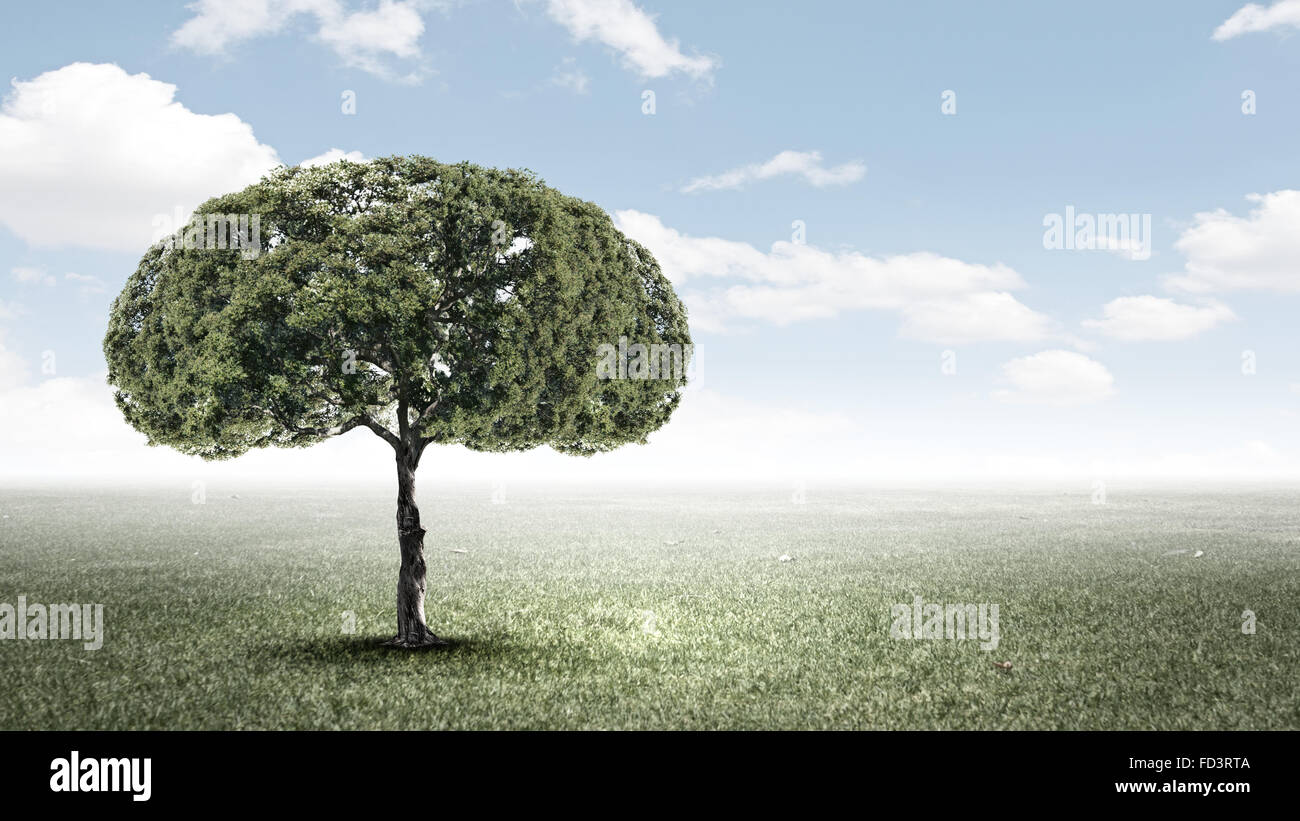 Image conceptuelle de l'arbre vert en forme de cerveau Banque D'Images