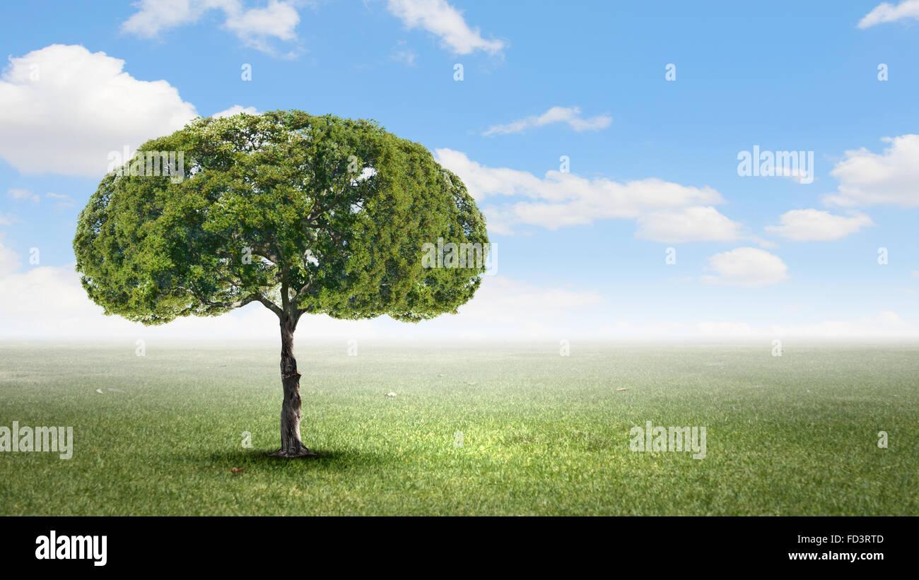 Image conceptuelle de l'arbre vert en forme de cerveau Banque D'Images