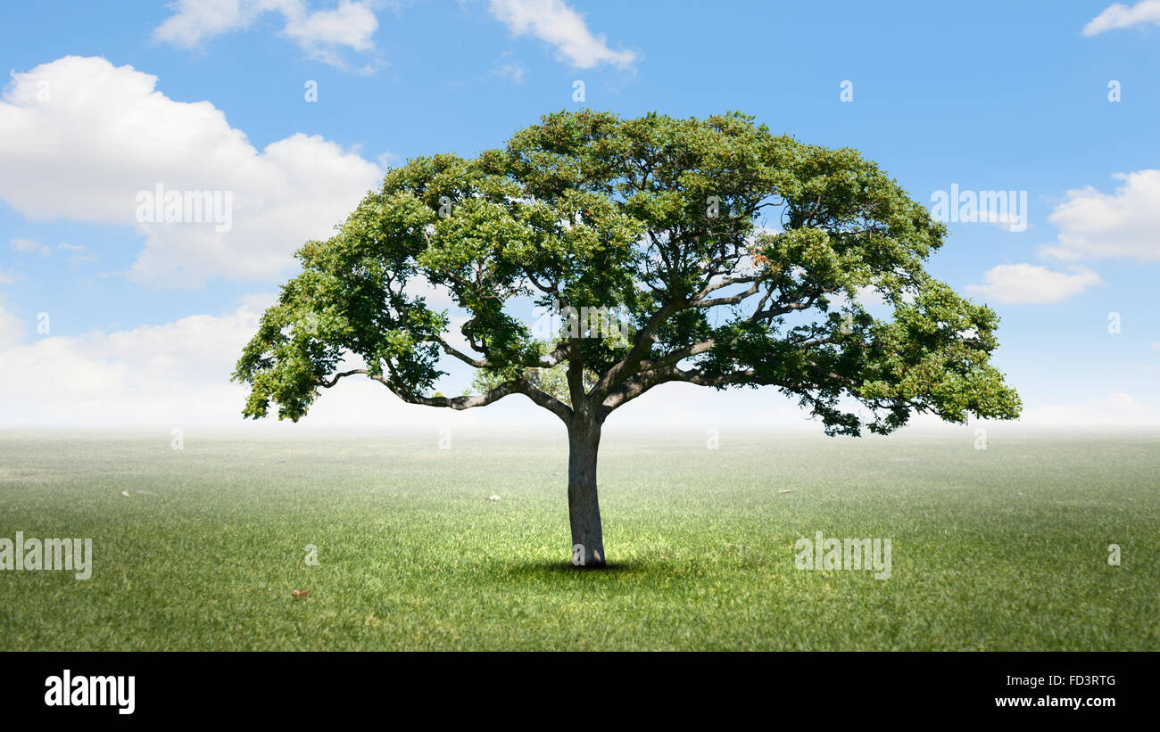 Image conceptuelle de l'arbre vert en forme de cerveau Banque D'Images