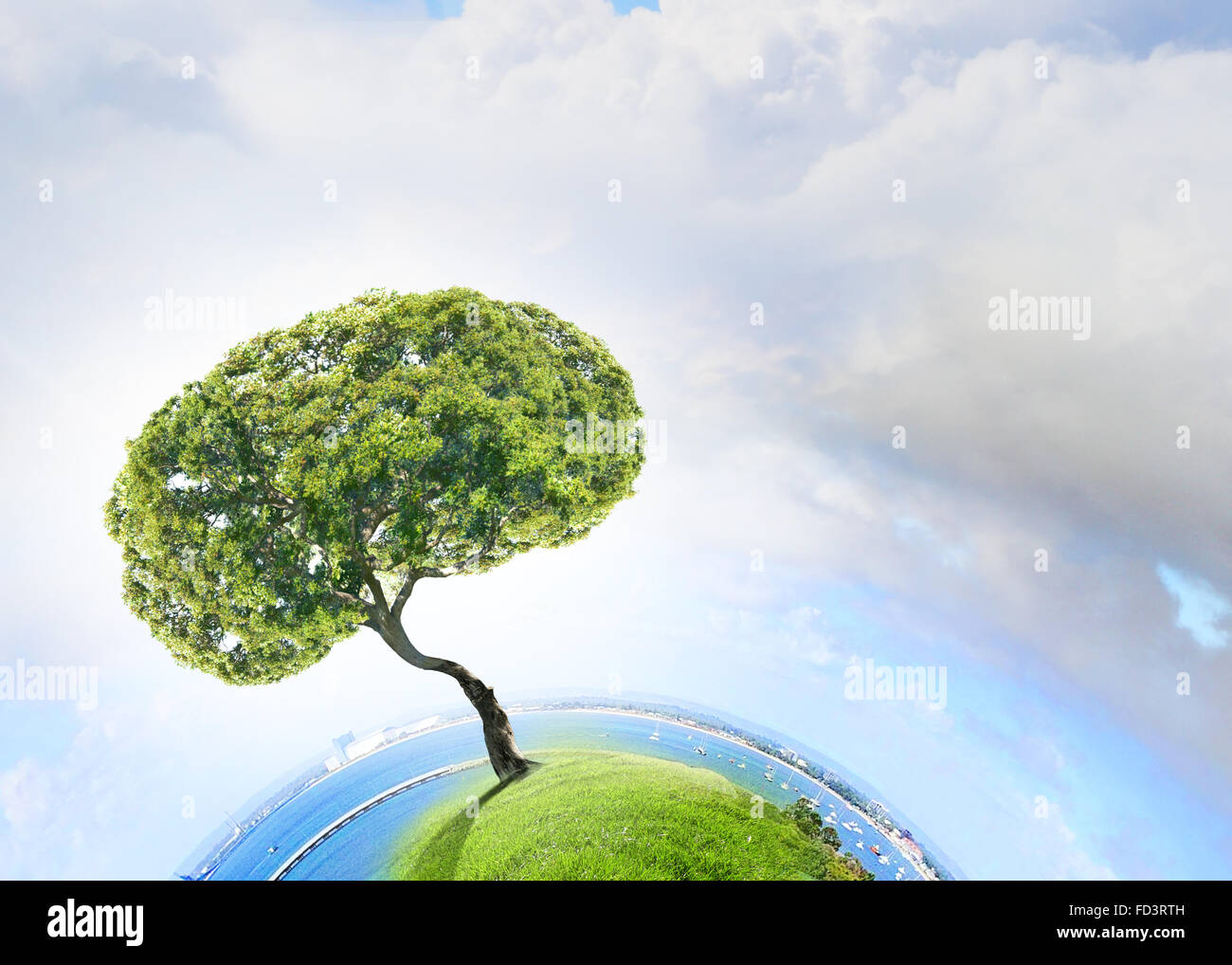 Image conceptuelle de l'arbre vert en forme de cerveau Banque D'Images