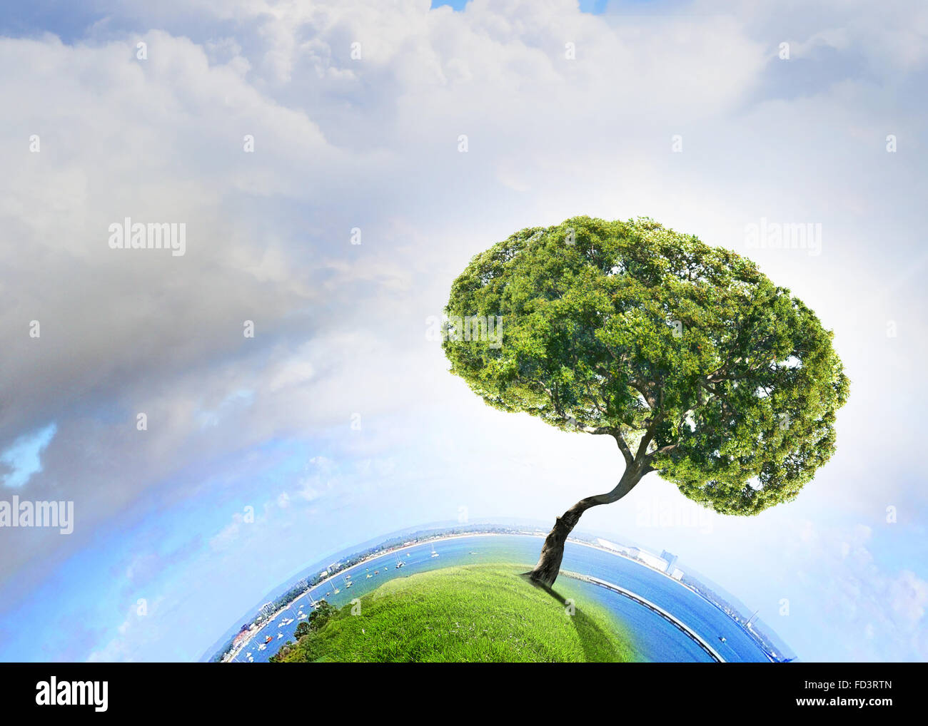 Image conceptuelle de l'arbre vert en forme de cerveau Banque D'Images