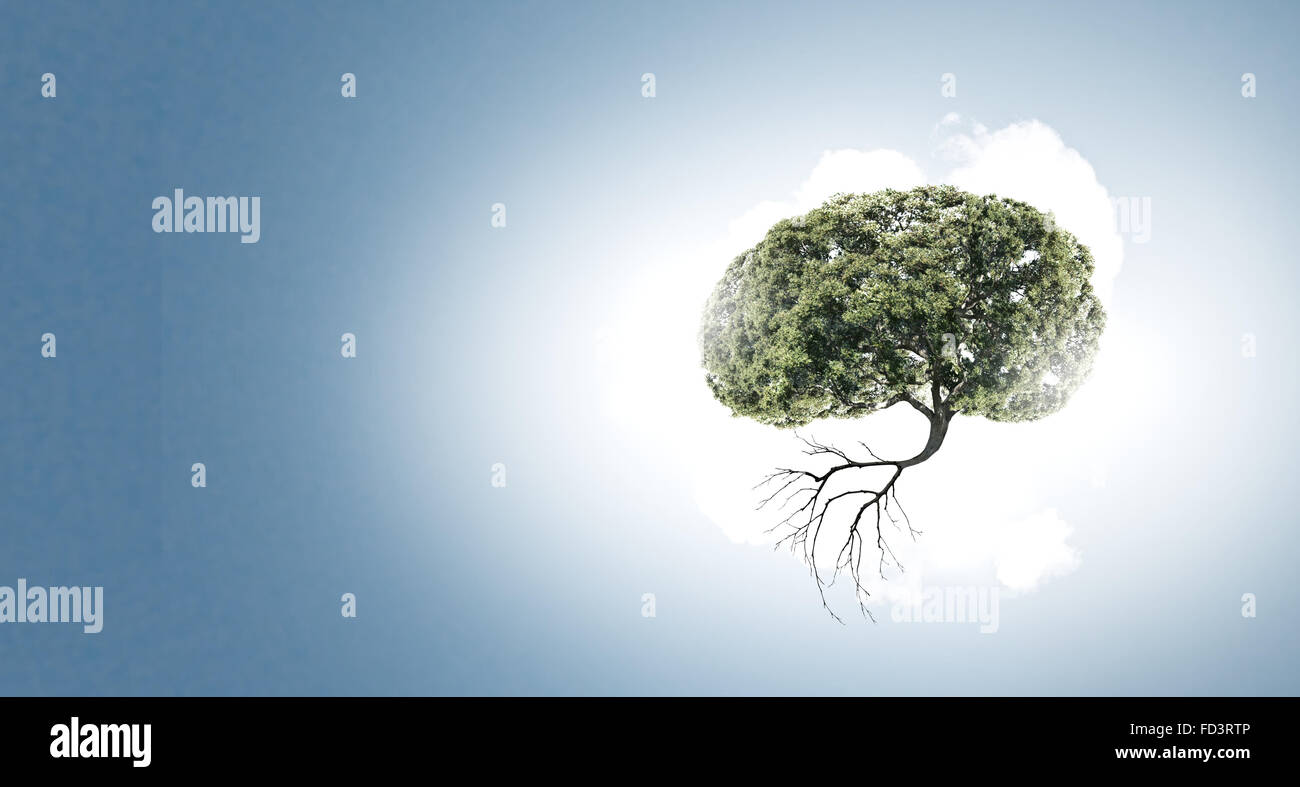 Image conceptuelle de l'arbre vert en forme de cerveau Banque D'Images