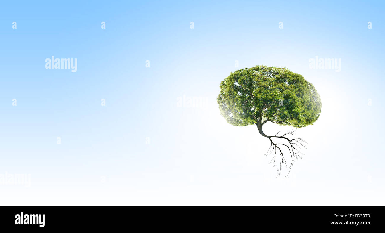 Image conceptuelle de l'arbre vert en forme de cerveau Banque D'Images