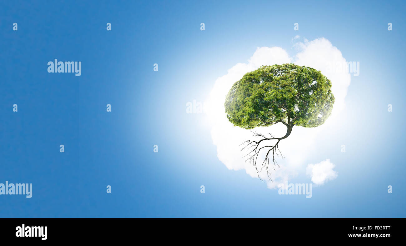 Image conceptuelle de l'arbre vert en forme de cerveau Banque D'Images