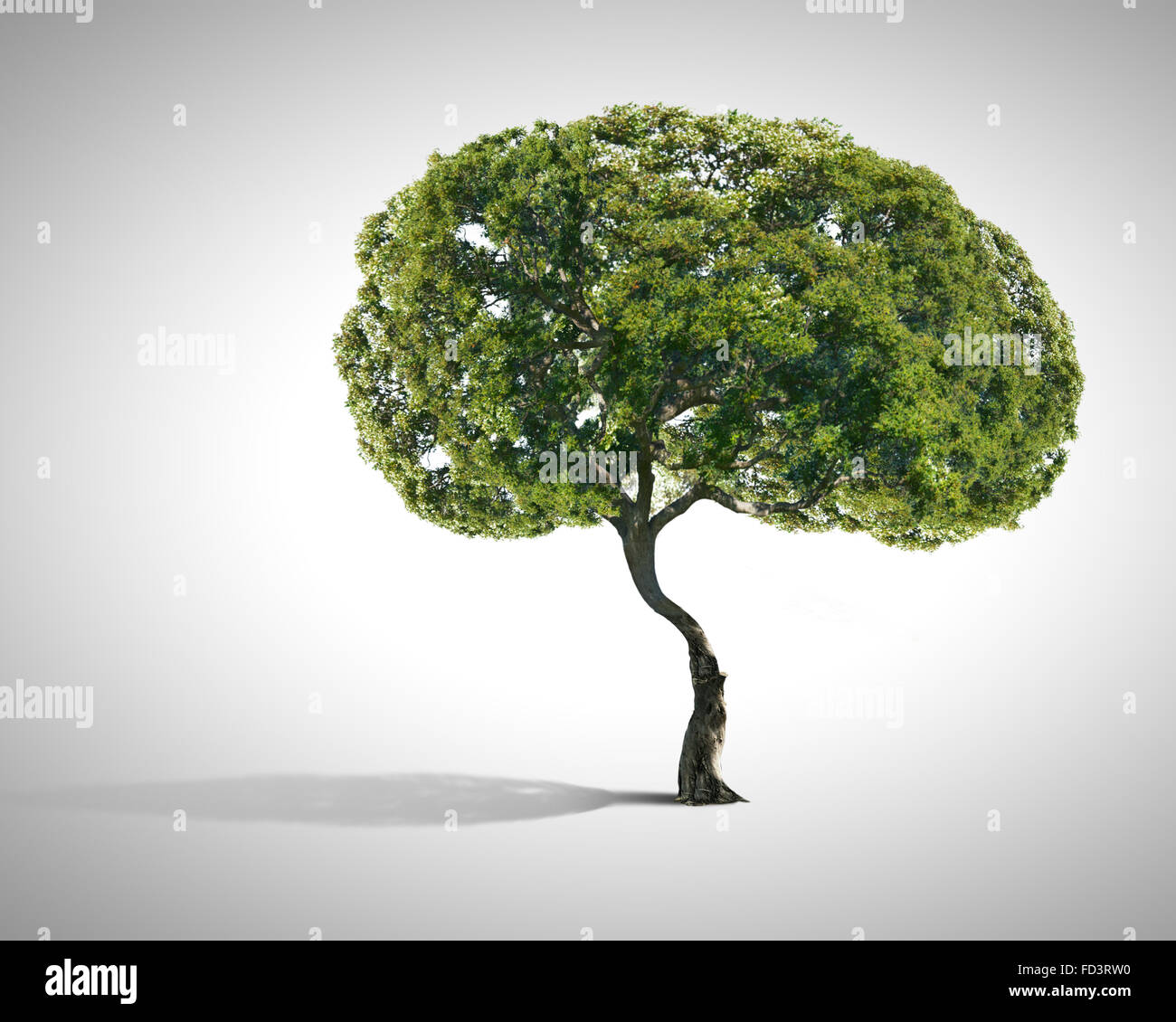 Image conceptuelle de l'arbre vert en forme de cerveau Banque D'Images