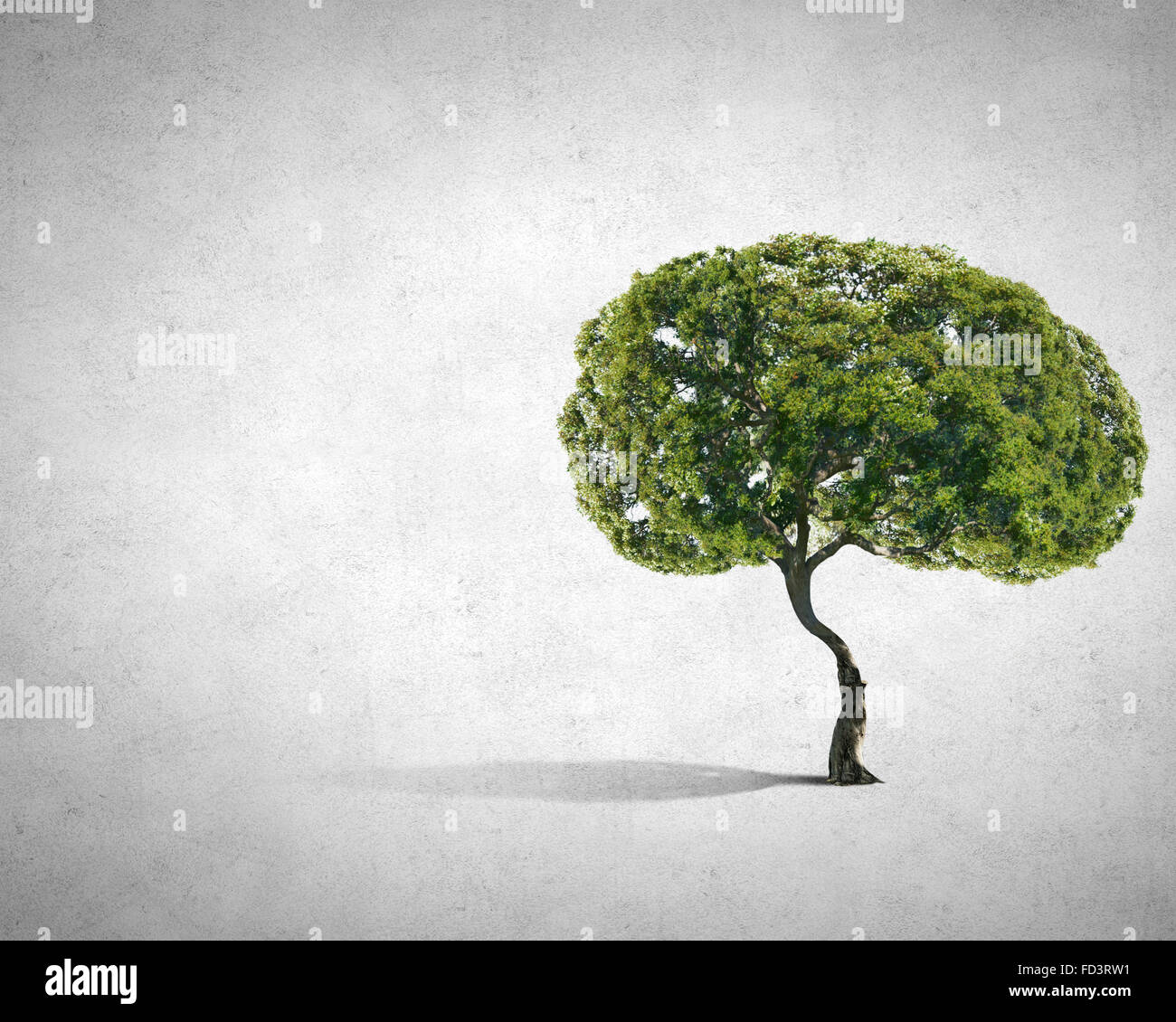 Image conceptuelle de l'arbre vert en forme de cerveau Banque D'Images