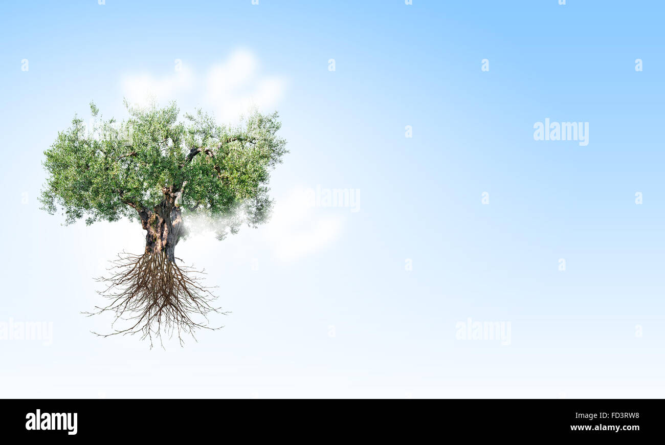 Image conceptuelle de l'arbre vert en forme de cerveau Banque D'Images