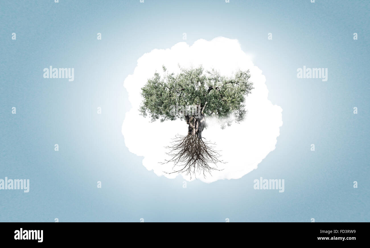 Image conceptuelle de l'arbre vert en forme de cerveau Banque D'Images