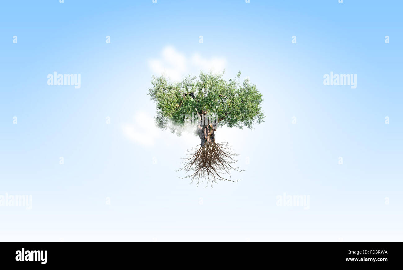 Image conceptuelle de l'arbre vert en forme de cerveau Banque D'Images