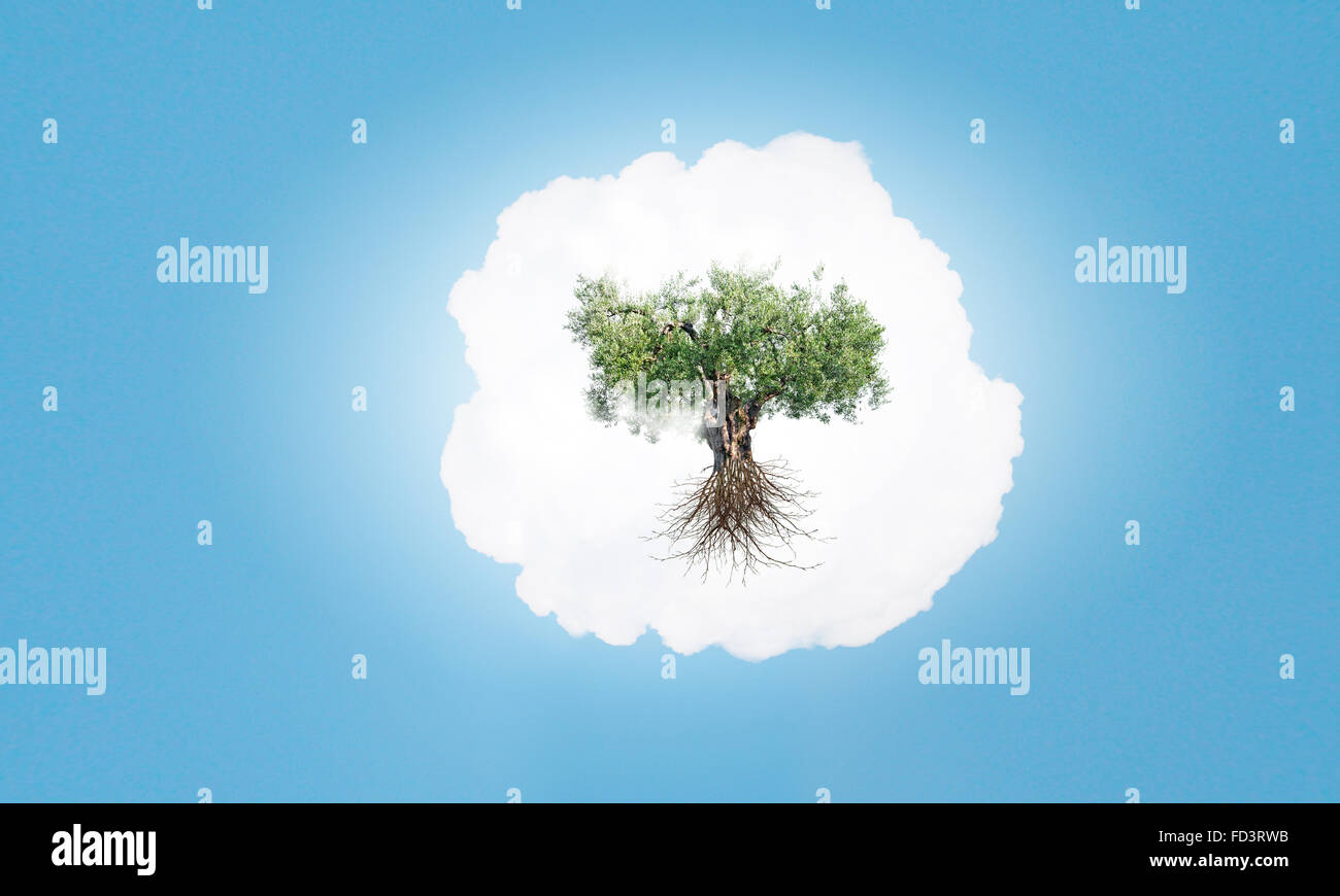 Image conceptuelle de l'arbre vert en forme de cerveau Banque D'Images