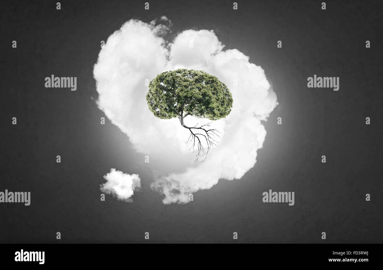 Image conceptuelle de l'arbre vert en forme de cerveau Banque D'Images