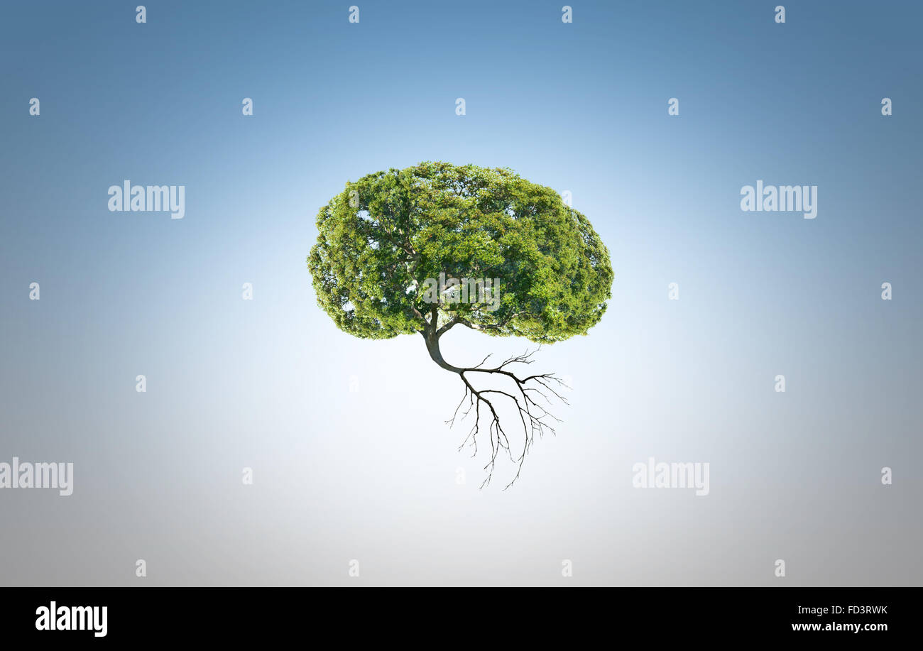 Image conceptuelle de l'arbre vert en forme de cerveau Banque D'Images