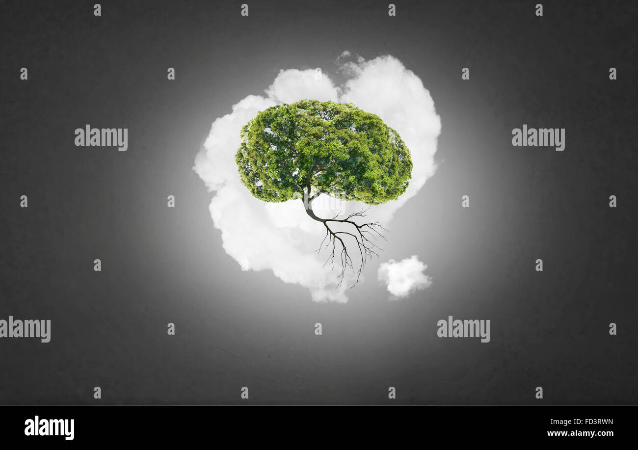 Image conceptuelle de l'arbre vert en forme de cerveau Banque D'Images