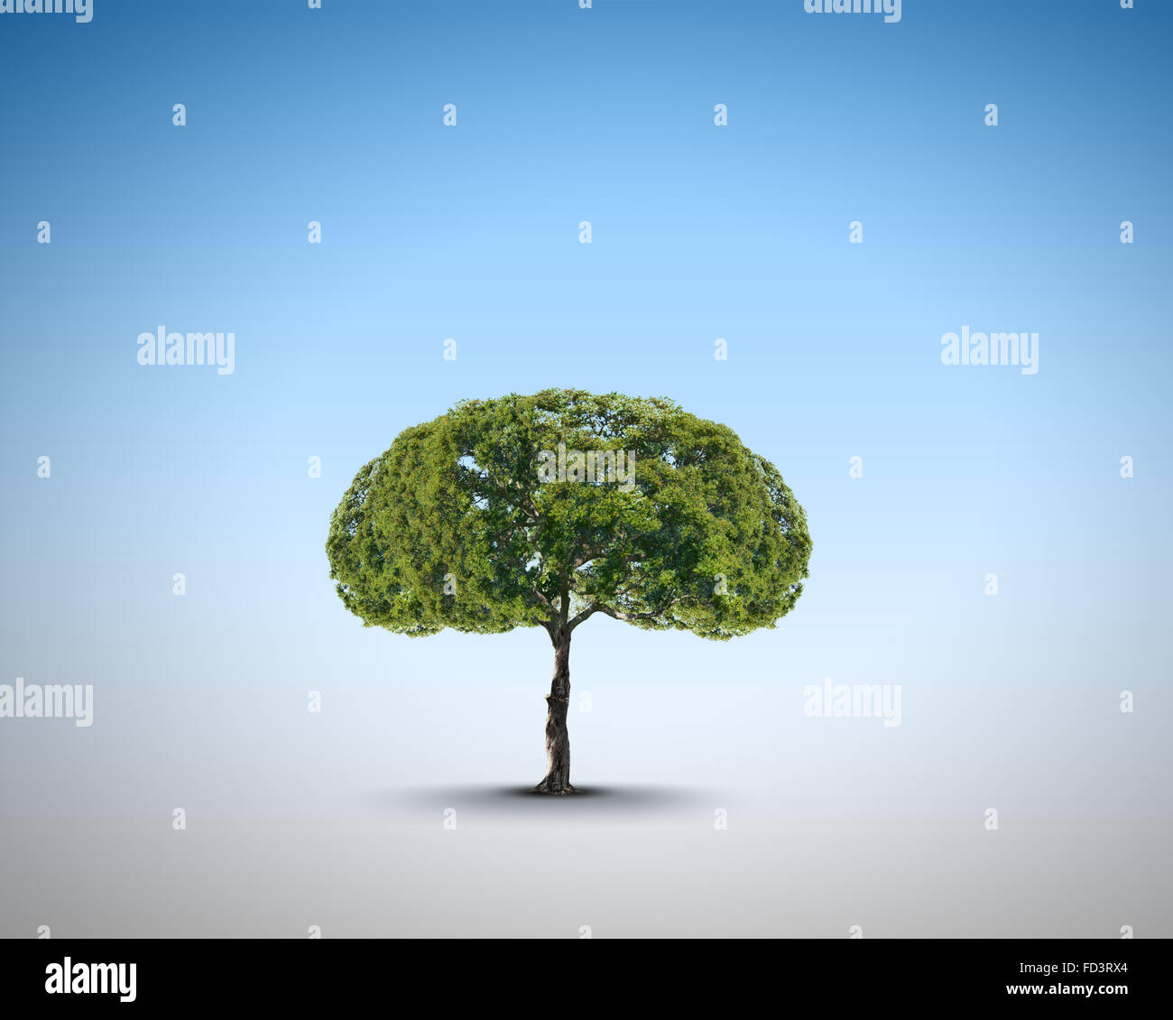Image conceptuelle de l'arbre vert en forme de cerveau Banque D'Images