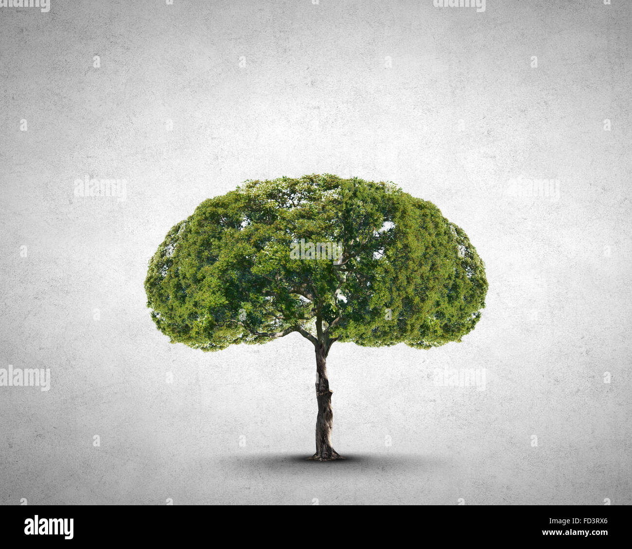 Image conceptuelle de l'arbre vert en forme de cerveau Banque D'Images