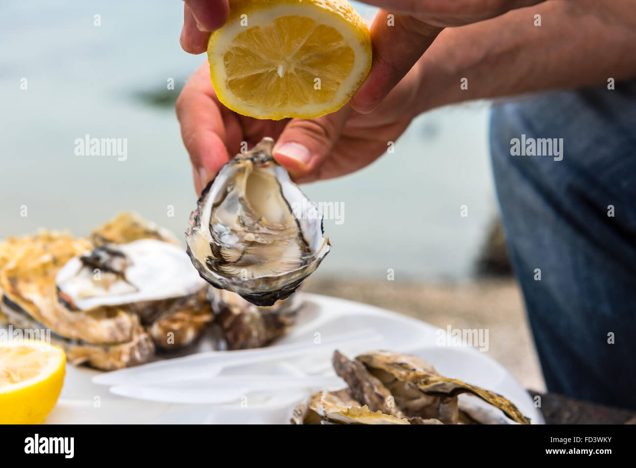 Homme main tenant les huîtres sur une plaque en plastique près de la mer Banque D'Images