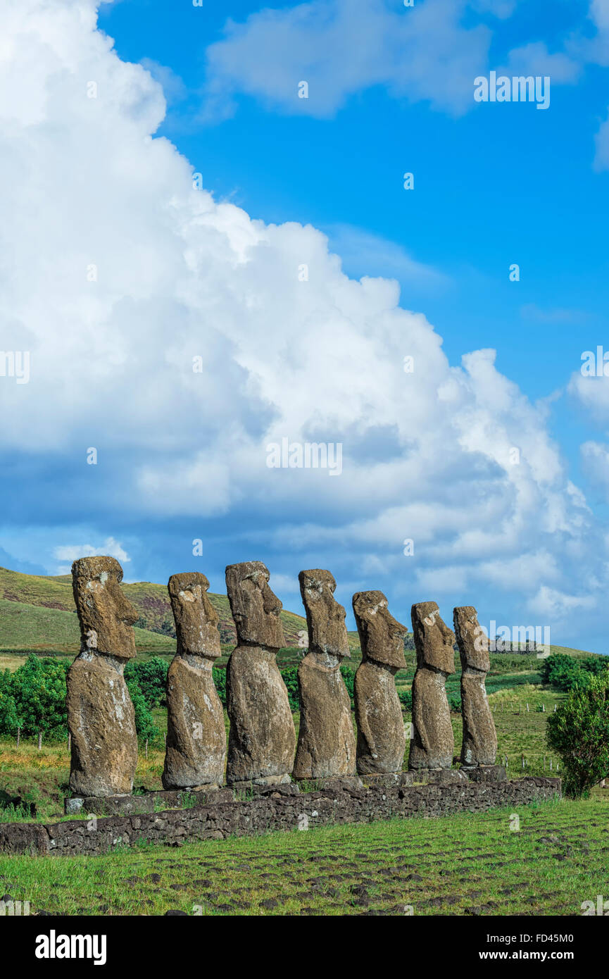 Ahu Akivi, Ahu Akivi Moais, Chili, île de Pâques, parc national de Rapa Nui, Site du patrimoine mondial de l'UNESCO Banque D'Images