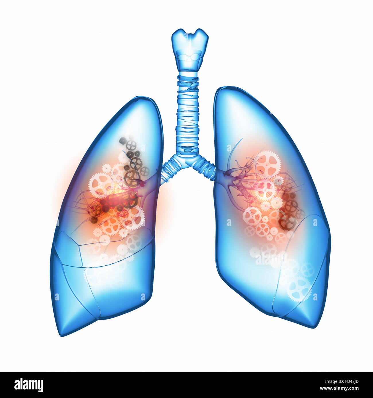 Les poumons avec les mécanismes. Santé et médecine Banque D'Images