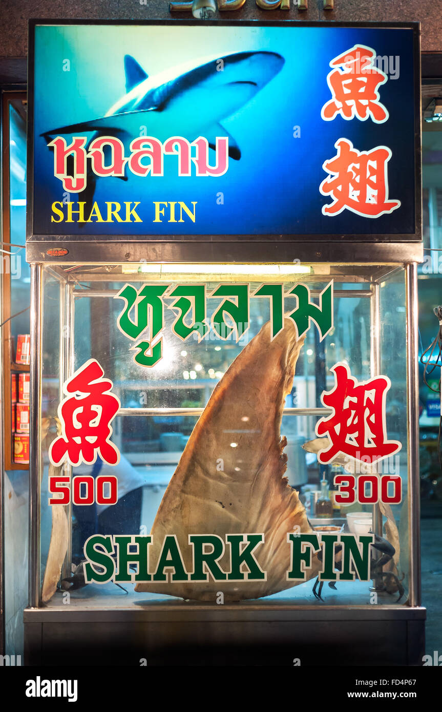 L'aileron de requin sur l'affichage à Yaowarat, Chinatown, le marché de nuit de Bangkok Banque D'Images