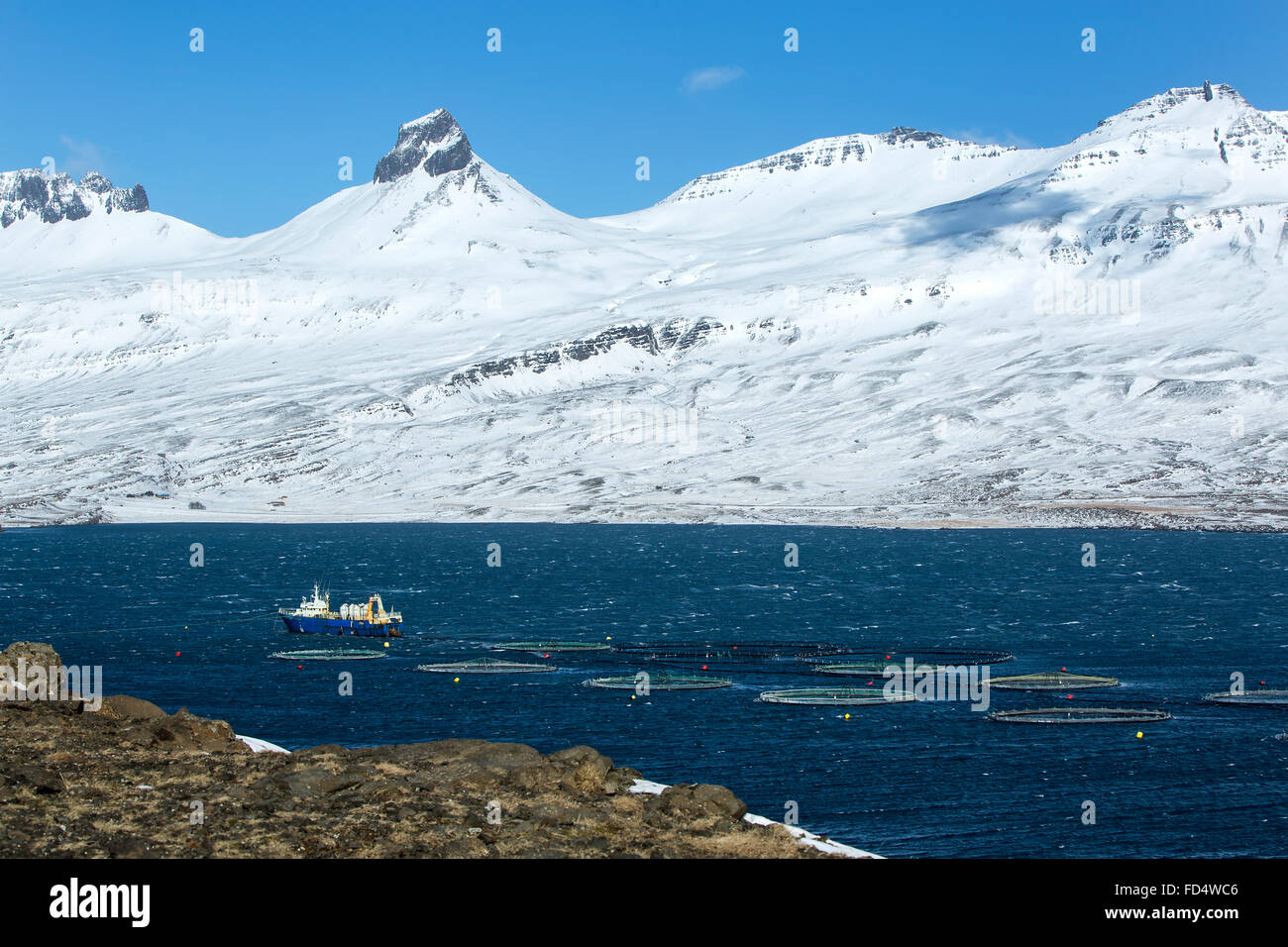Couteau de pêche dans le Nord de l'Islande, fjords de l'hiver Banque D'Images