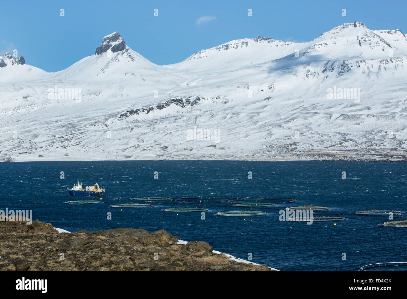 Couteau de pêche dans le Nord de l'Islande, fjords de l'hiver Banque D'Images