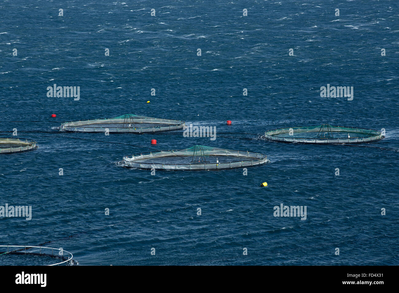 Couteau de pêche dans le Nord de l'Islande, fjords de l'hiver Banque D'Images