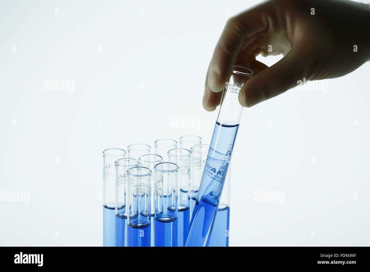 Dans le laboratoire scientifique Banque D'Images