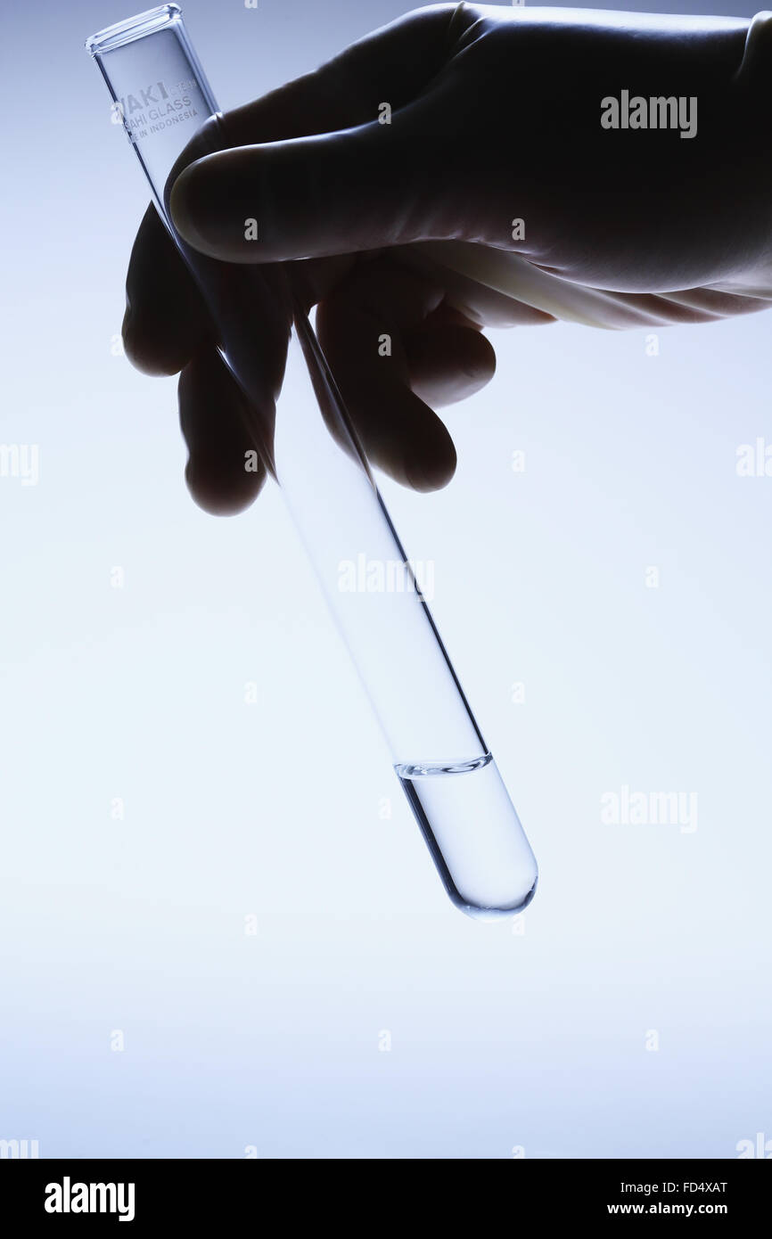 Dans le laboratoire scientifique Banque D'Images