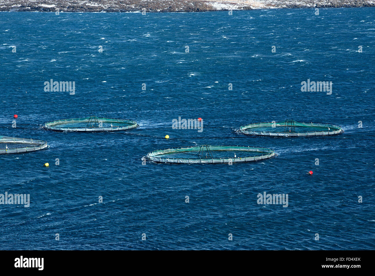 Couteau de pêche dans le Nord de l'Islande, fjords de l'hiver Banque D'Images