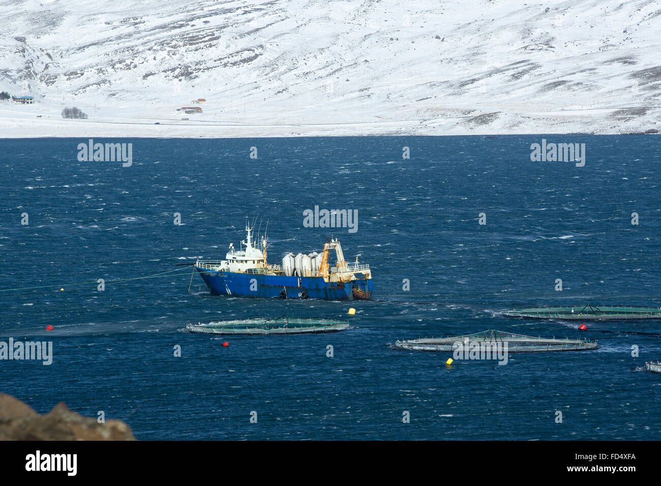 Couteau de pêche dans le Nord de l'Islande, fjords de l'hiver Banque D'Images