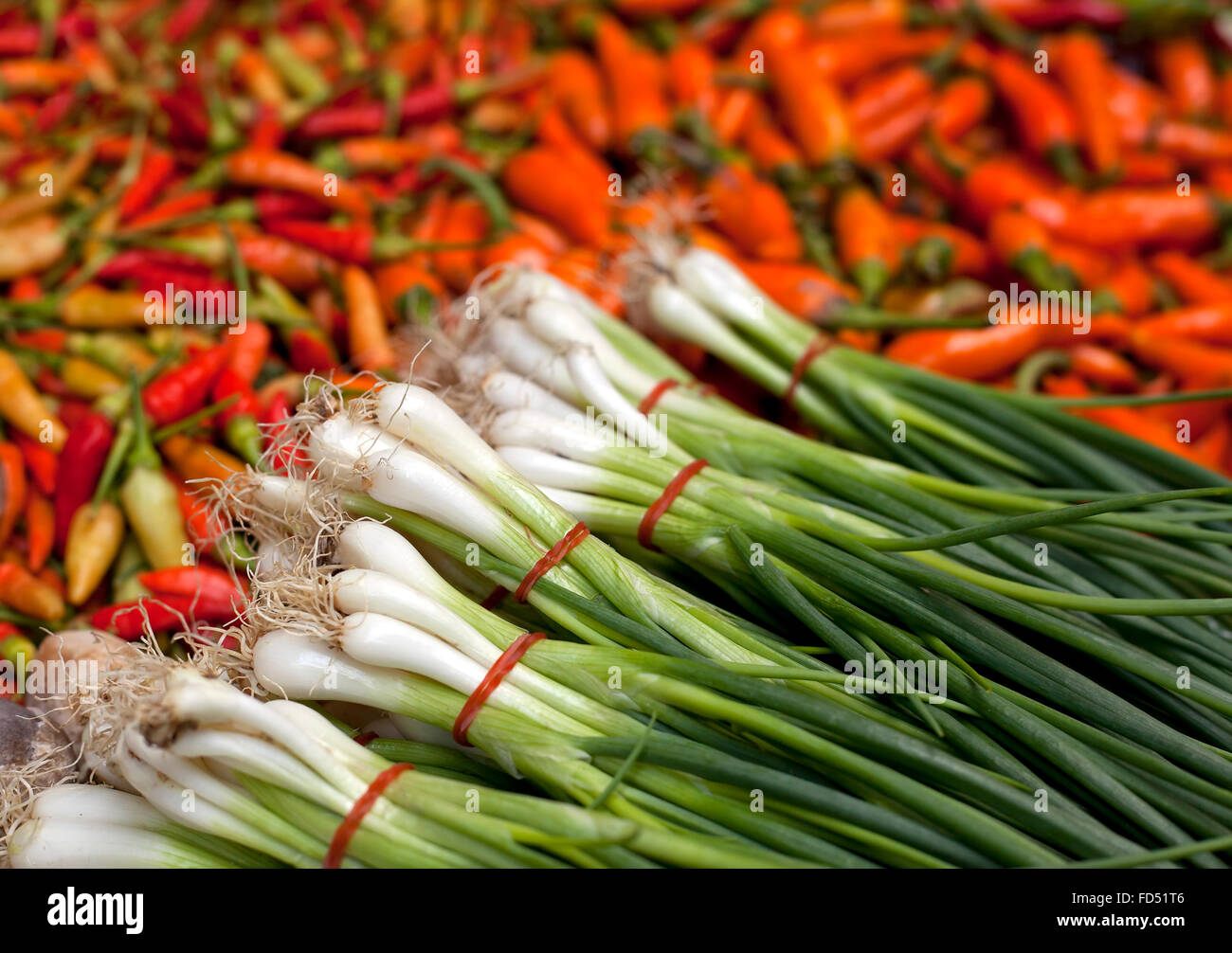 Abondance de ciboule fraîche et piri piri chili's. Banque D'Images