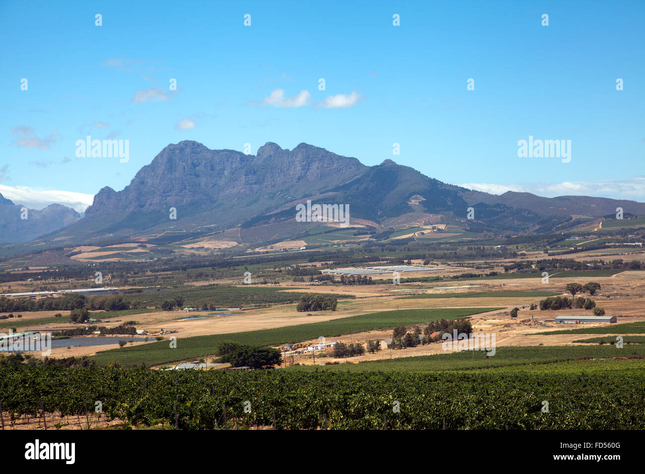 Spice Route Wine Estate vues sur les régions de vin à Paarl, Afrique du Sud - Western Cape Banque D'Images