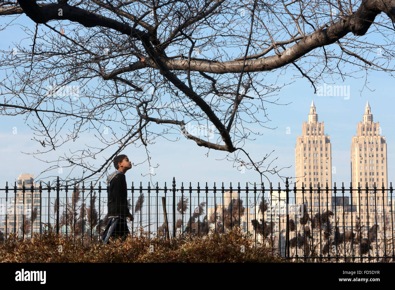 Enfant américain marche à pied. Central Park le réservoir avec le Upper West Skyline en arrière-plan. Banque D'Images