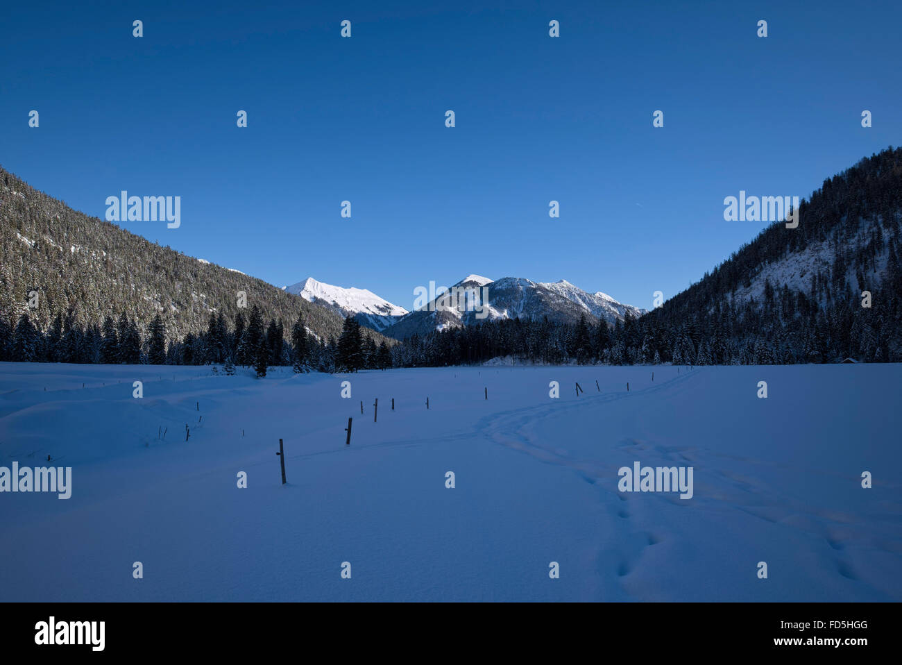 Les pistes de ski et de raquette à travers un paysage de montagne enneigé, Karwendel, Hinterriss, Autriche Banque D'Images