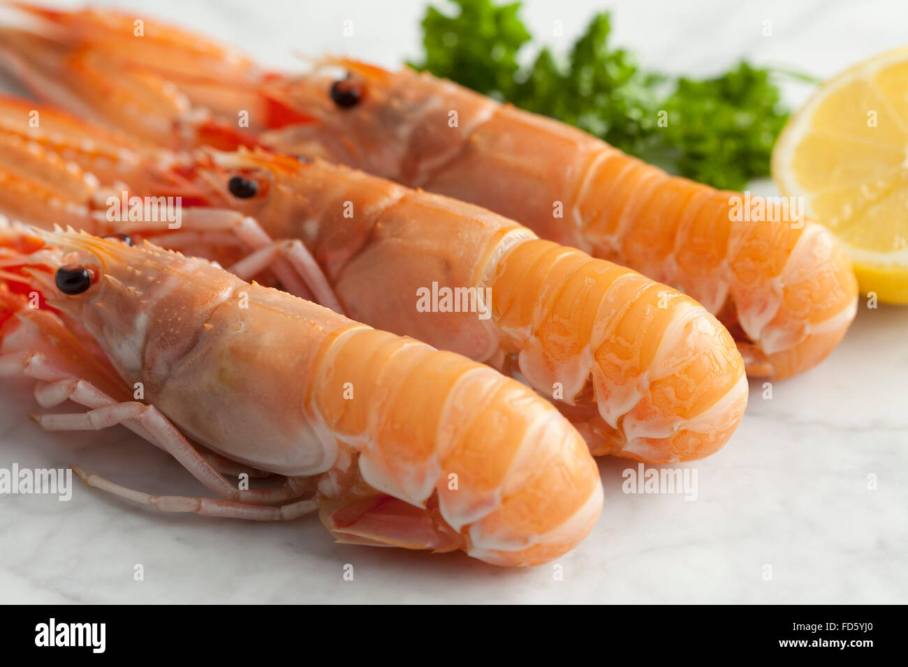 Matières premières fraîches langoustines Banque D'Images