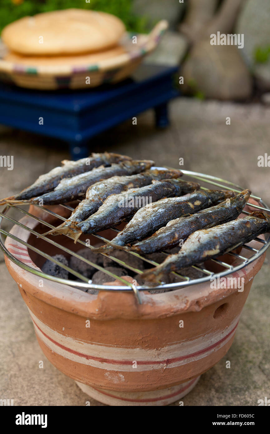 Sardines sur un barbecue dans le jardin Banque D'Images