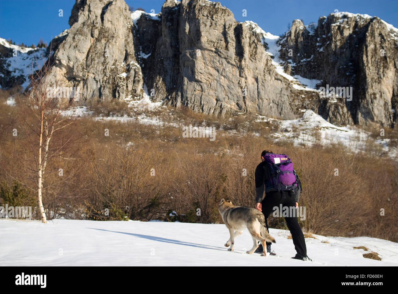 Man with dog randonnée pédestre en montagne Banque D'Images