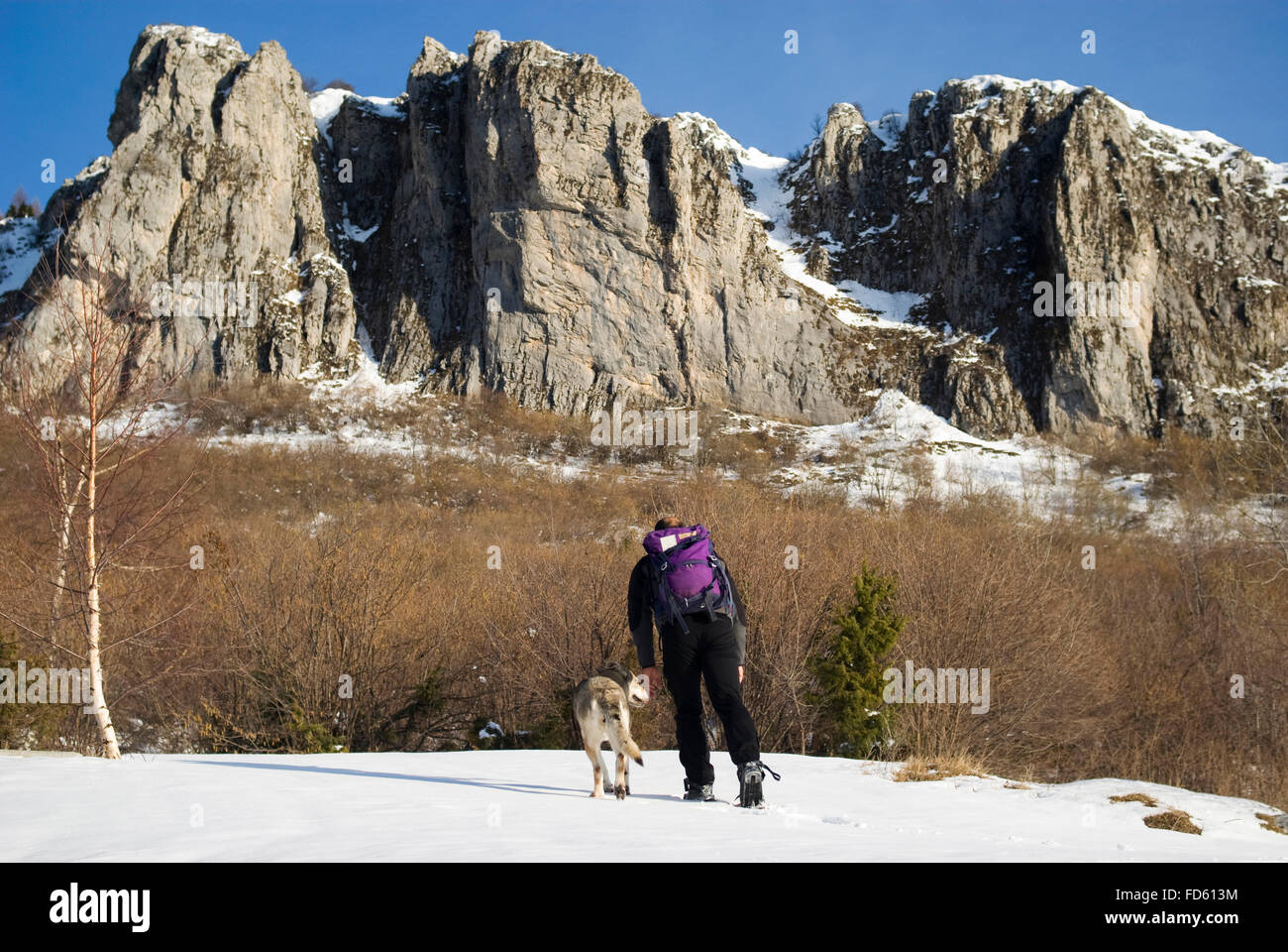 Man with dog randonnée pédestre en montagne Banque D'Images