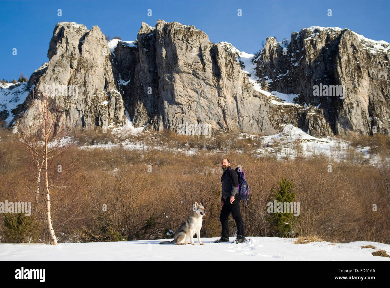 Man with dog randonnée pédestre en montagne Banque D'Images