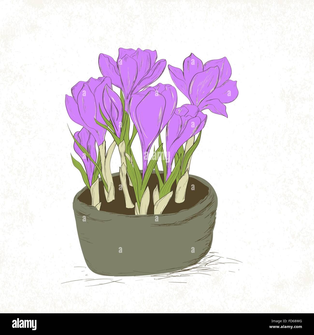 Carte Avec Fleurs De Printemps Crocus Dessine A La Main Carte De Remerciement Carte De Vœux Ou D Invitation Vector Illustration Image Vectorielle Stock Alamy Carte Avec Fleurs De Printemps Crocus Dessine A La Main Carte De Remerciement Carte De Vœux Ou D Invitation Vector Illustration Image Vectorielle Stock Alamy