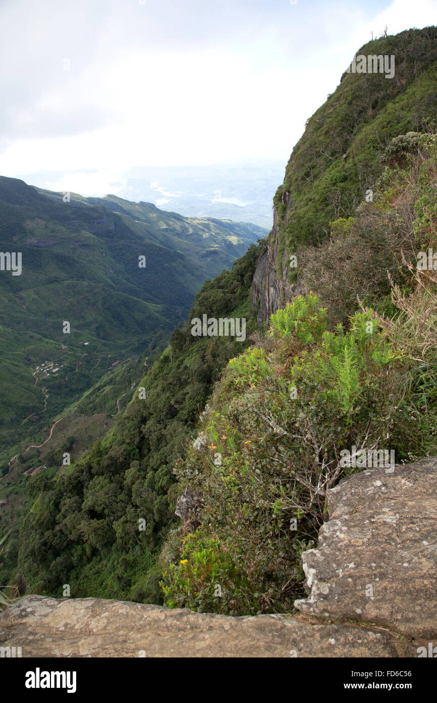 World's End est situé dans le Parc National de Horton Plains de Nuwara Eliya, Sri Lanka. Il s'agit d'une falaise, avec une baisse d'environ 4000 Banque D'Images