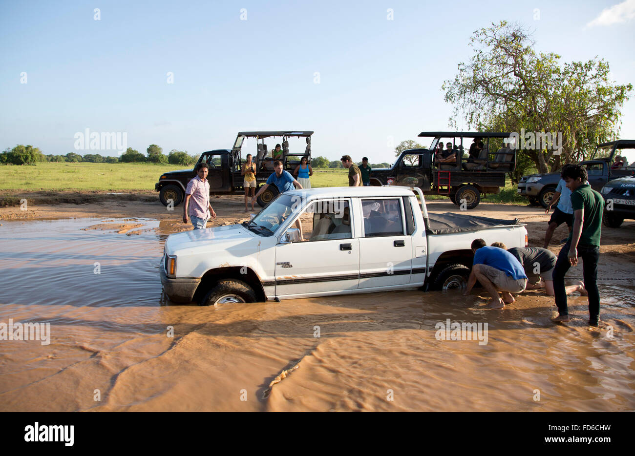 Safari 4x4 coincé dans la boue à l'intérieur du parc national de Yala Banque D'Images