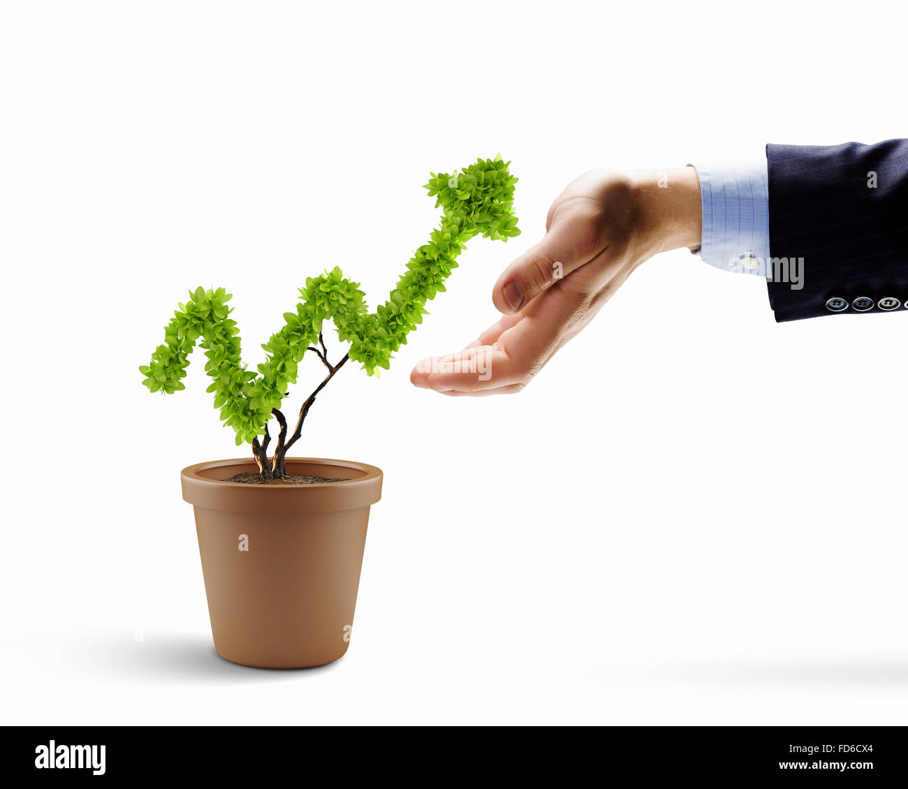 Image de la main de l'holding plant en forme de flèche Banque D'Images