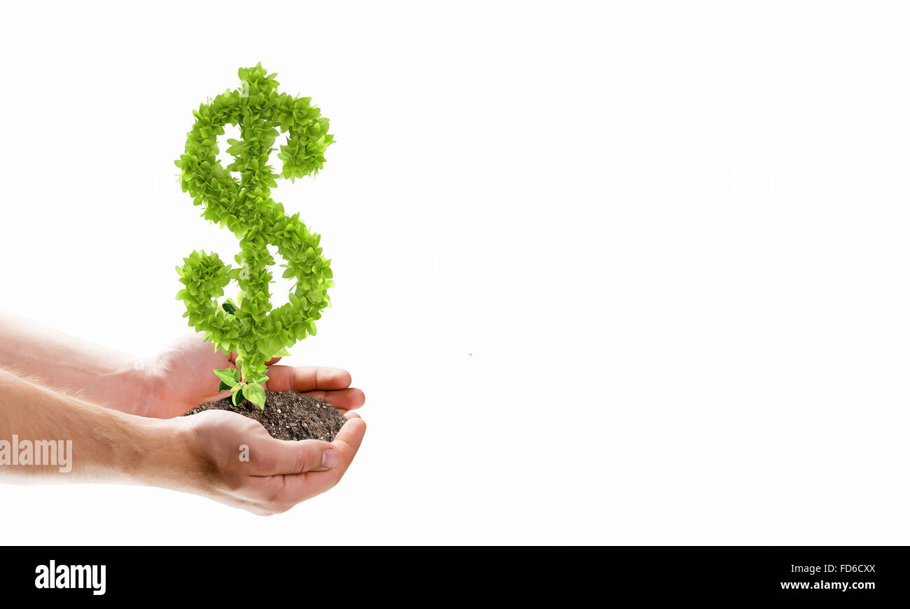 Image de la main de l'holding plant en forme de dollar Banque D'Images