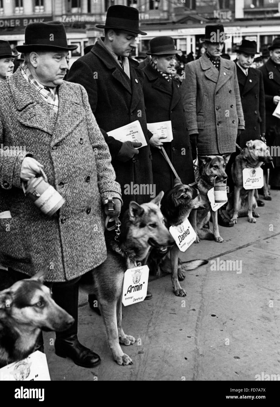 Des policiers avec des chiens de travail, 29.01.1939 Banque D'Images