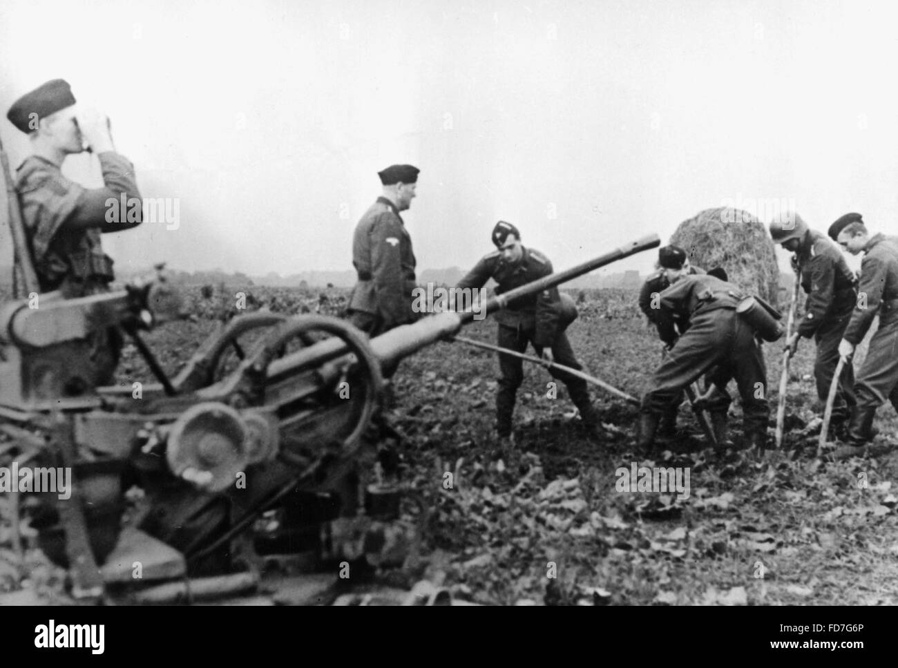 Corps moteur national-socialiste la préparation d'un canon anti-aérien, Pays-Bas, 1944 Banque D'Images