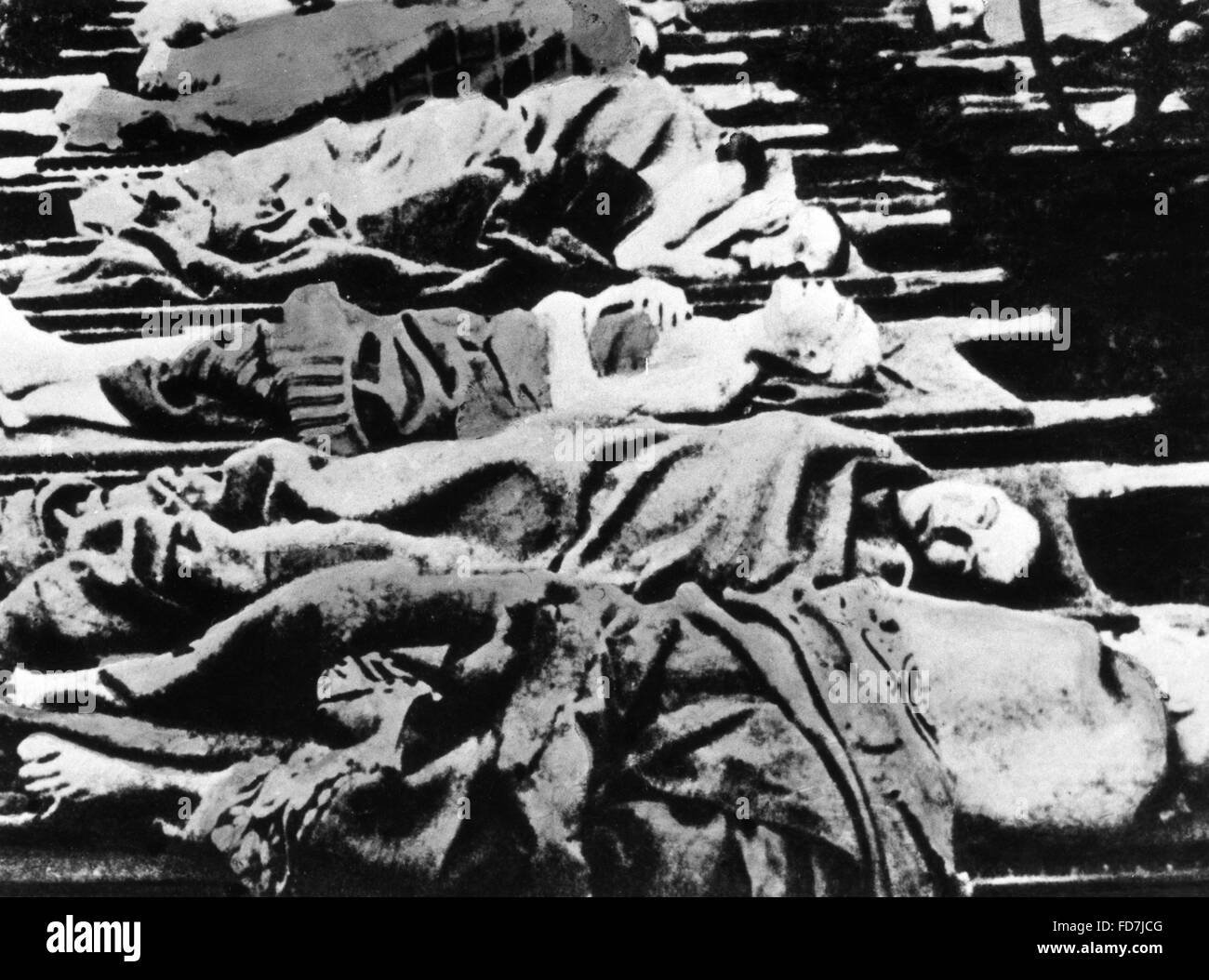 Des cadavres à Auschwitz Photo Stock Alamy