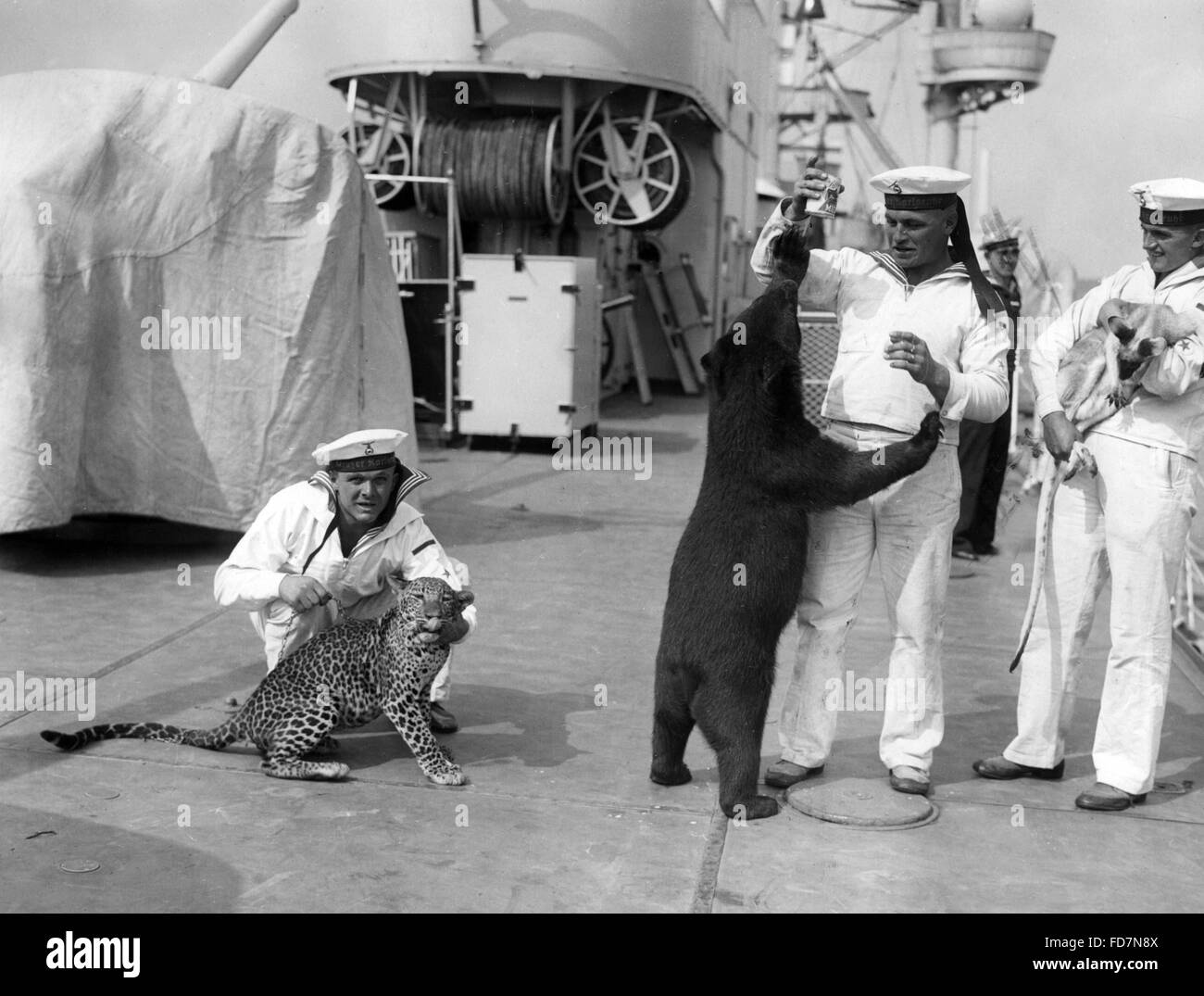 Les marins allemands avec les animaux exotiques, 1934 Banque D'Images Les marins allemands avec les animaux exotiques, 1934 Banque D'Images