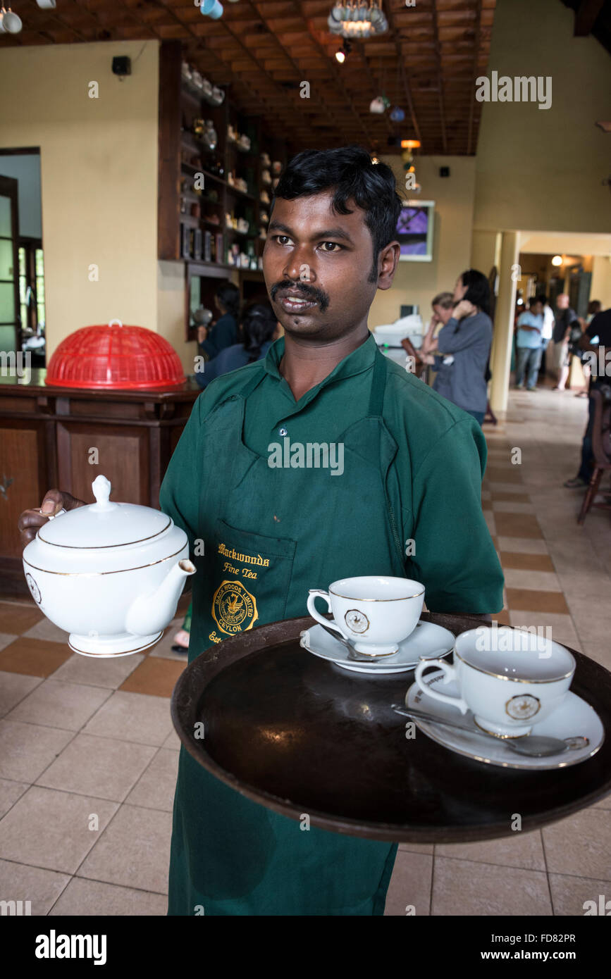 Un serveur servir le thé dans le salon de thé les visiteurs à l'usine  Labookellie Mackwoods à Nuwara Eliya dans la province du Centre, au Sri  Lanka Photo Stock - Alamy